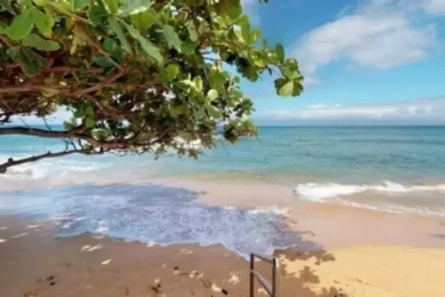 Listing Image for 3445 Lower Honoapiilani Rd 536 5 of 24