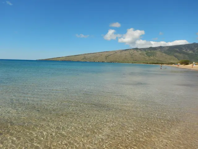Listing Image for 30 Hauoli St 310 3 of 34