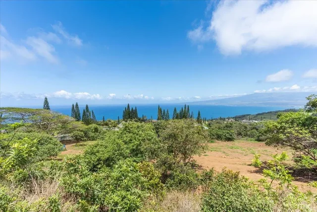 Listing Image for 27 Hulumanu Pl Lot 35 12 of 25