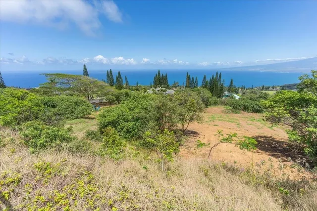 Listing Image for 27 Hulumanu Pl Lot 35 14 of 25