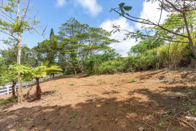 Listing Image for 27 Hulumanu Pl Lot 35 17 of 25