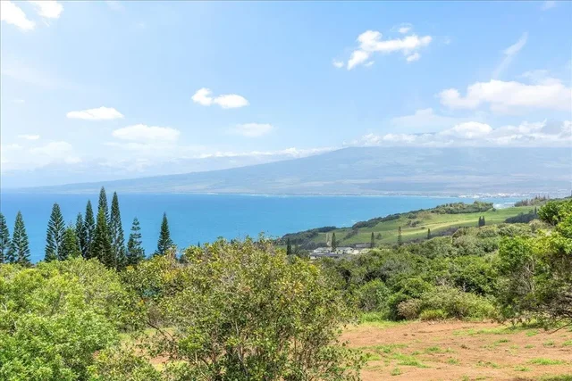 Listing Image for 27 Hulumanu Pl Lot 35 21 of 25