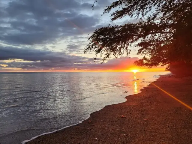 Listing Image for 2730 Kamehameha V Hwy 36 of 40