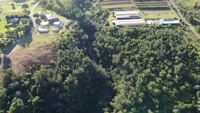 Listing Image for 0 Kamehameiki Rd 12 of 25