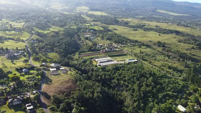 Listing Image for 0 Kamehameiki Rd 15 of 25