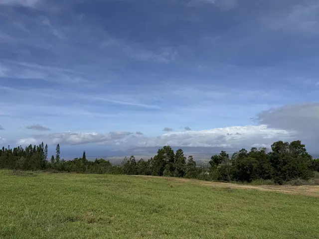 Listing Image for 0 Kamehameiki Rd 2 of 25