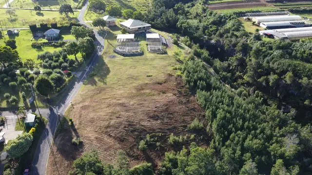 Listing Image for 0 Kamehameiki Rd 21 of 25