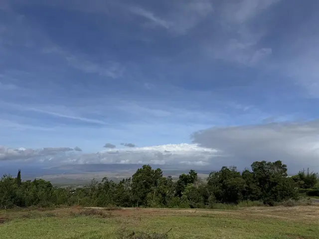 Listing Image for 0 Kamehameiki Rd 4 of 25