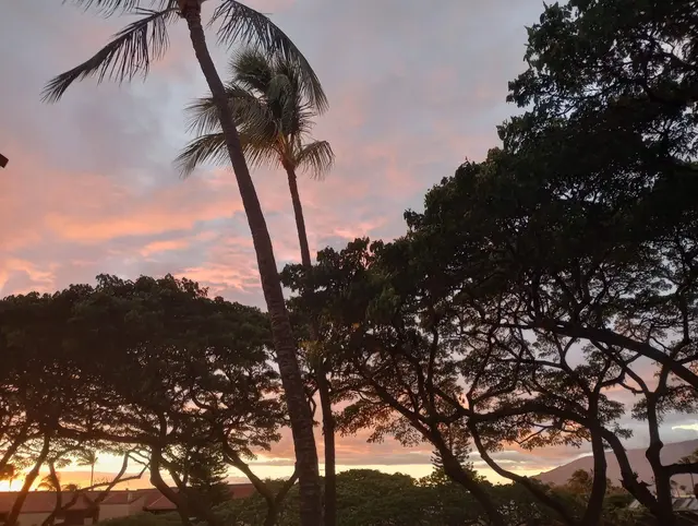 Listing Image for 2191 S Kihei Rd 2320 12 of 50