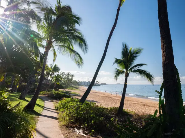 Listing Image for 2191 S Kihei Rd 2320 42 of 50