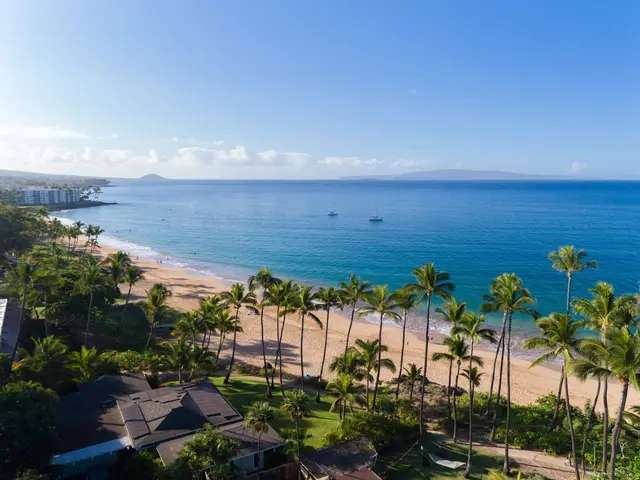 Listing Image for 2191 S Kihei Rd 2320 49 of 50