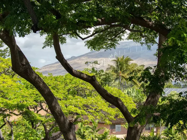Listing Image for 2191 S Kihei Rd 2320 5 of 50