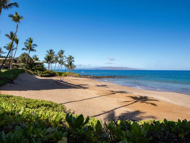 Listing Image for 4400 Makena Rd 604 23 of 50