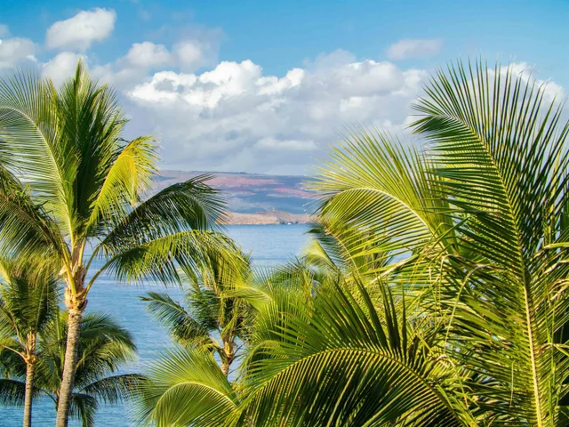 Listing Image for 4400 Makena Rd 604 46 of 50