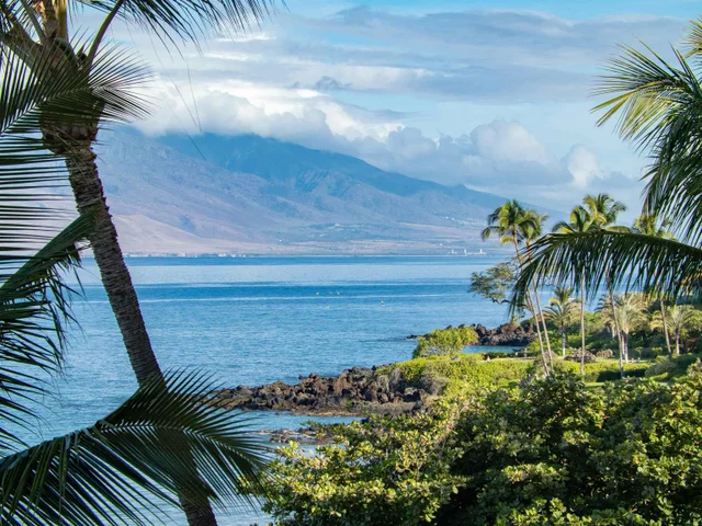 Listing Image for 4400 Makena Rd 604 47 of 50