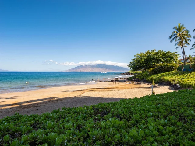 Listing Image for 4400 Makena Rd 604 48 of 50
