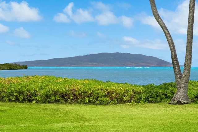 Listing Image for 7142 Kamehameha V Hwy A103 7 of 16