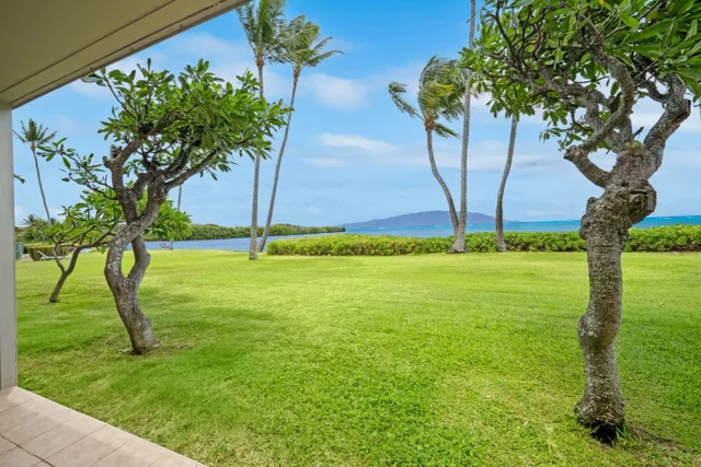 Listing Image for 7142 Kamehameha V Hwy A103 8 of 16