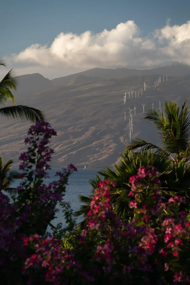 Listing Image for 4000 Wailea Alanui Dr 2003 16 of 43