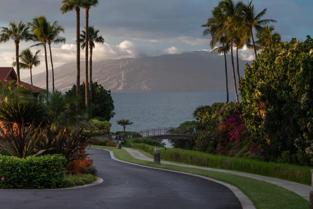 Listing Image for 4000 Wailea Alanui Dr 2003 19 of 43