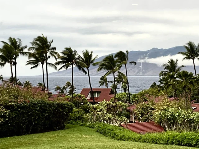 Listing Image for 4000 Wailea Alanui Dr 2003 2 of 43