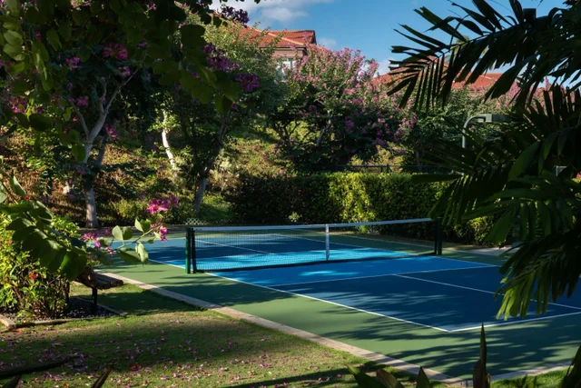 Listing Image for 4000 Wailea Alanui Dr 2003 28 of 43