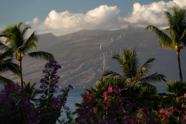 Listing Image for 4000 Wailea Alanui Dr 2003 35 of 43