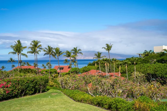 Listing Image for 4000 Wailea Alanui Dr 2003 36 of 43