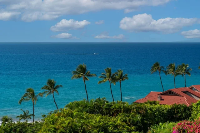 Listing Image for 4000 Wailea Alanui Dr 2003 37 of 43