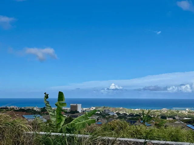 Listing Image for 153 Pua Kalaunu Loop 2 of 36