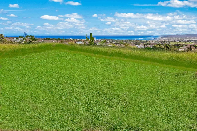 Listing Image for 153 Pua Kalaunu Loop 28 of 36