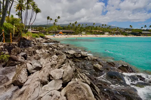 Listing Image for 4955 Hanawai St 8-102 40 of 40