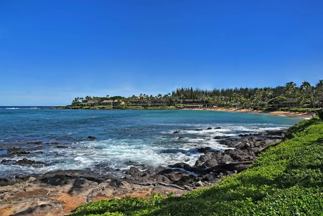 Listing Image for 5315 Lower Honoapiilani Rd B208 16 of 43