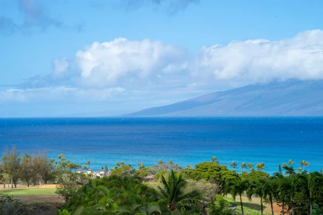 Listing Image for 1008 Sunset Pl 10 of 50