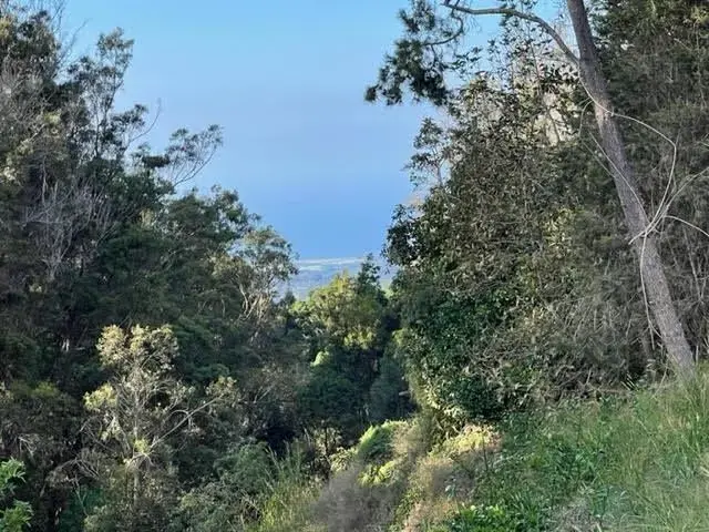 Listing Image for 2040 Piiholo Rd 19 of 25