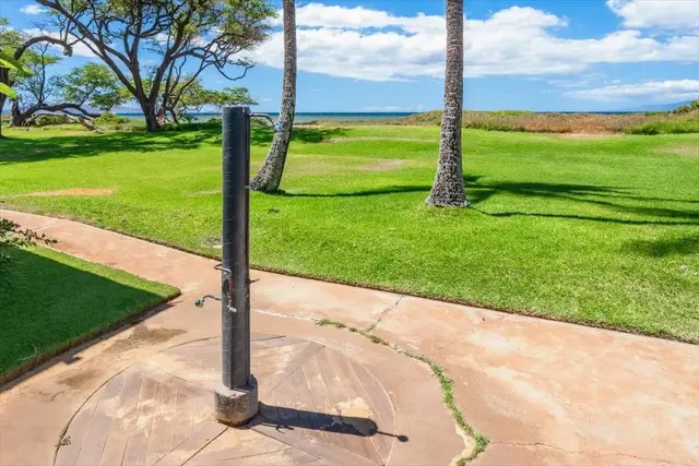 Listing Image for 49 W Lipoa St D 225 26 of 42