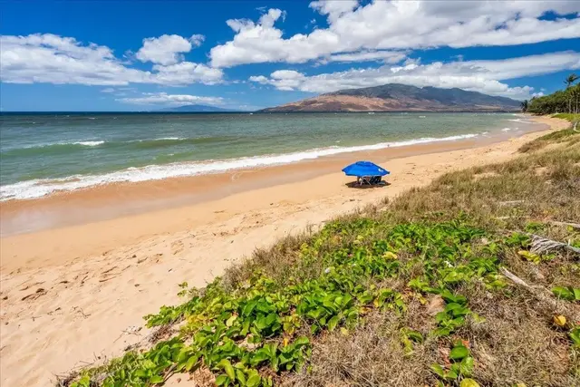 Listing Image for 49 W Lipoa St D 225 37 of 42