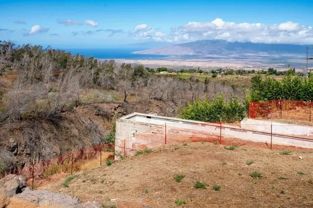 Listing Image for 14 Nunu Pl 6 of 23