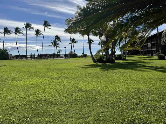 Listing Image for 1000 Kamehameha V Hwy 120b 3 of 28