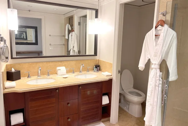 Listing Image for 1 Ritz Carlton Dr 1601 19 of 24