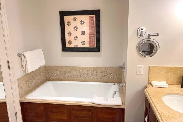 Listing Image for 1 Ritz Carlton Dr 1601 20 of 24