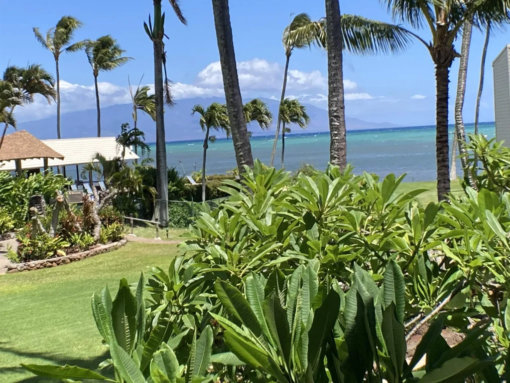 7142 Kamehameha V Hwy B202, Molokai