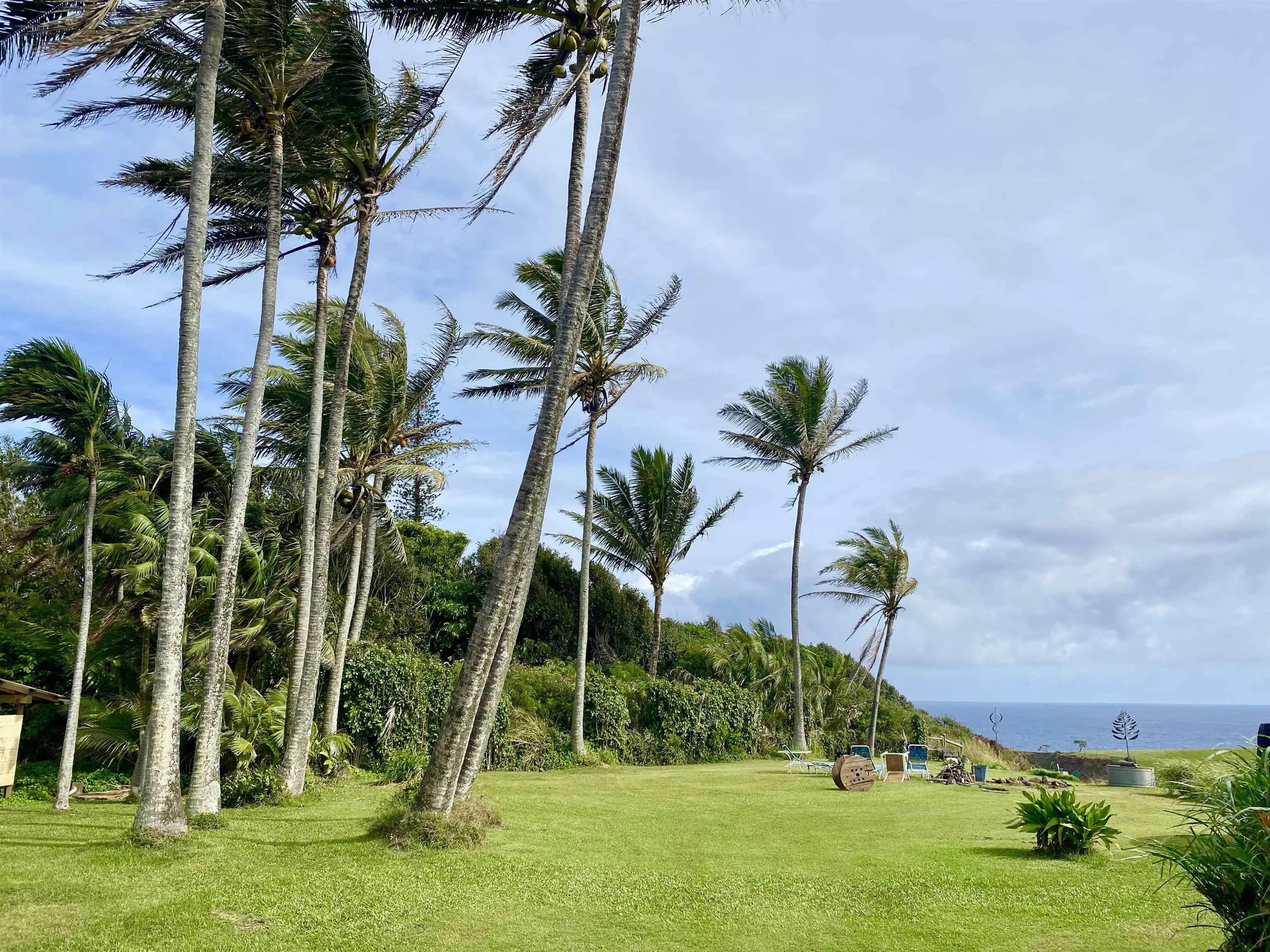 Photo of Listing #408269