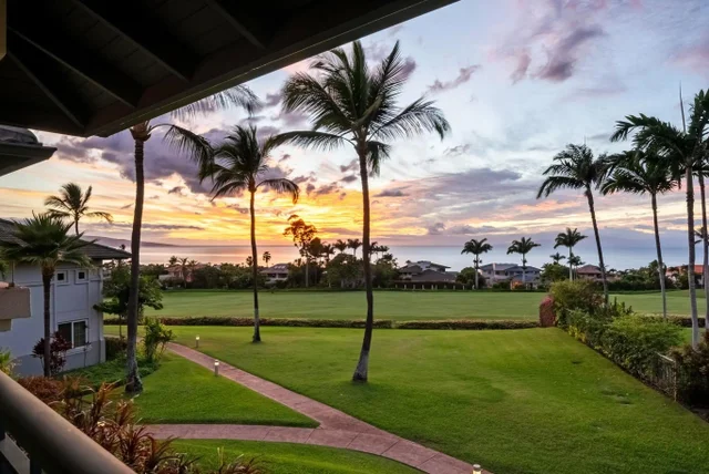 Listing Image for 3950 Kalai Waa St P201 10 of 49