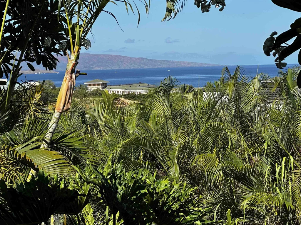 10 Wailea Ekolu Pl 203, Wailea/Makena