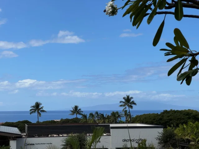 Listing Image for 10 Wailea Ekolu Pl 203 2 of 49