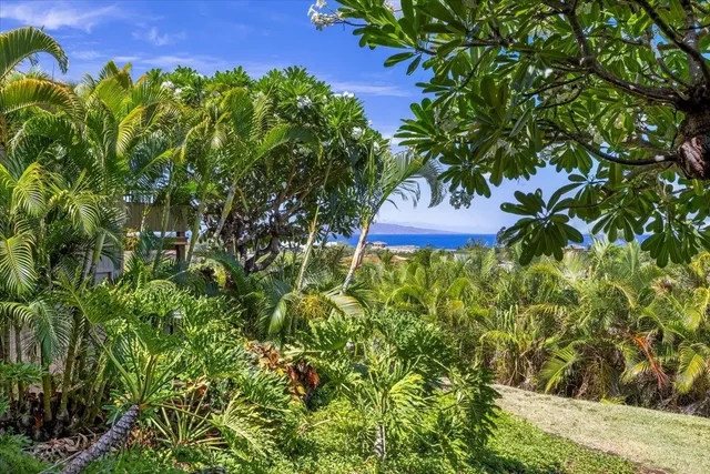 Listing Image for 10 Wailea Ekolu Pl 203 32 of 49