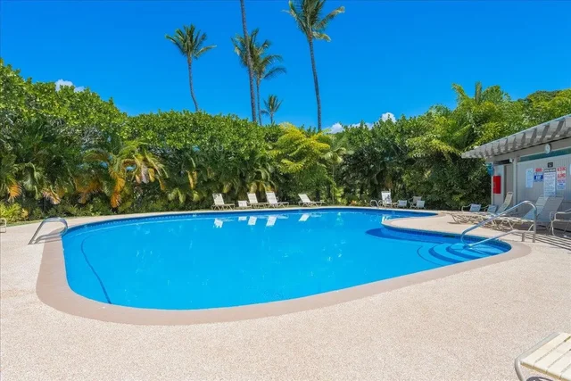 Listing Image for 10 Wailea Ekolu Pl 203 44 of 49