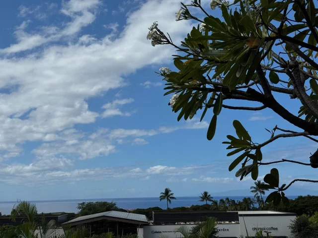 Listing Image for 10 Wailea Ekolu Pl 203 7 of 49