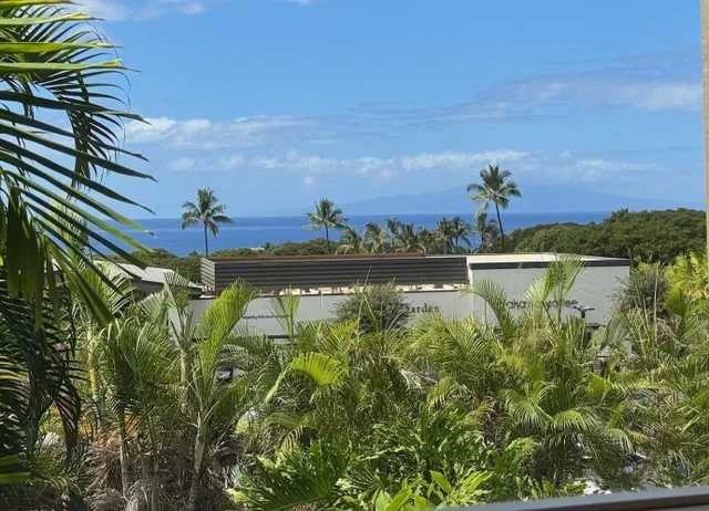 Listing Image for 10 Wailea Ekolu Pl 203 8 of 49